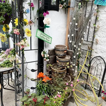 Alloggio in famiglia Fado *