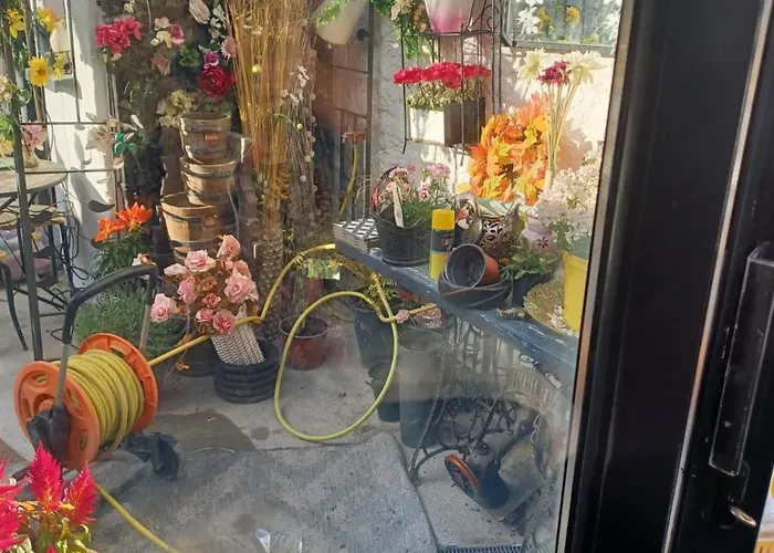 Fado Accommodatie bij particulieren *